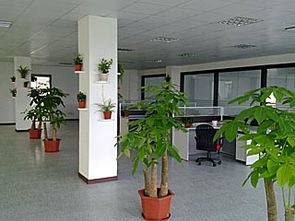 寧波商業空間裝修指南 辦公室、門面與店面施工要點解析